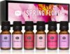 Wholesale P&J Trading Spring Flowers Set of Fragrance Oil - Woodbine, Lily, Lotus Blossom, Magnolia, Peony, Primrose Scents for Candle Making, Soap Making Supplies, Diffuser Oils Spring Flowers 0.34 Fl Oz (Pack of 6)